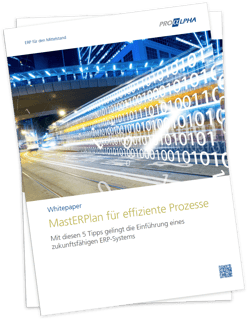 Cover des Whitepapers MastERPlan für effiziente Prozesse
