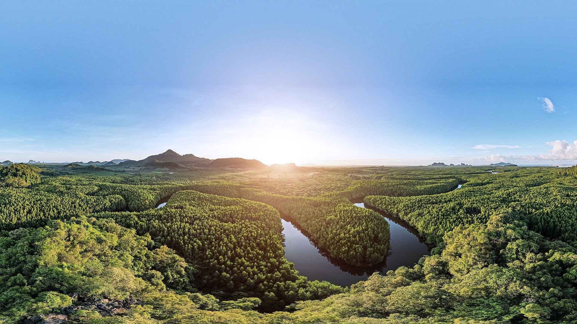 Histoire d'une réussite