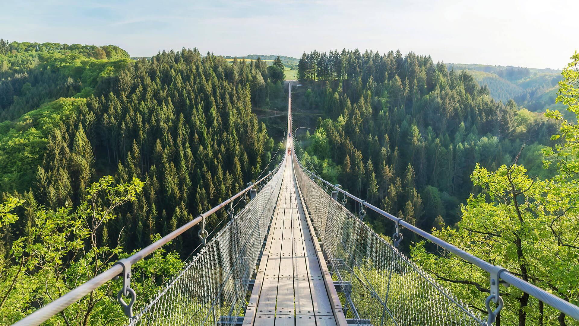 Un pont suspendu dans la nature