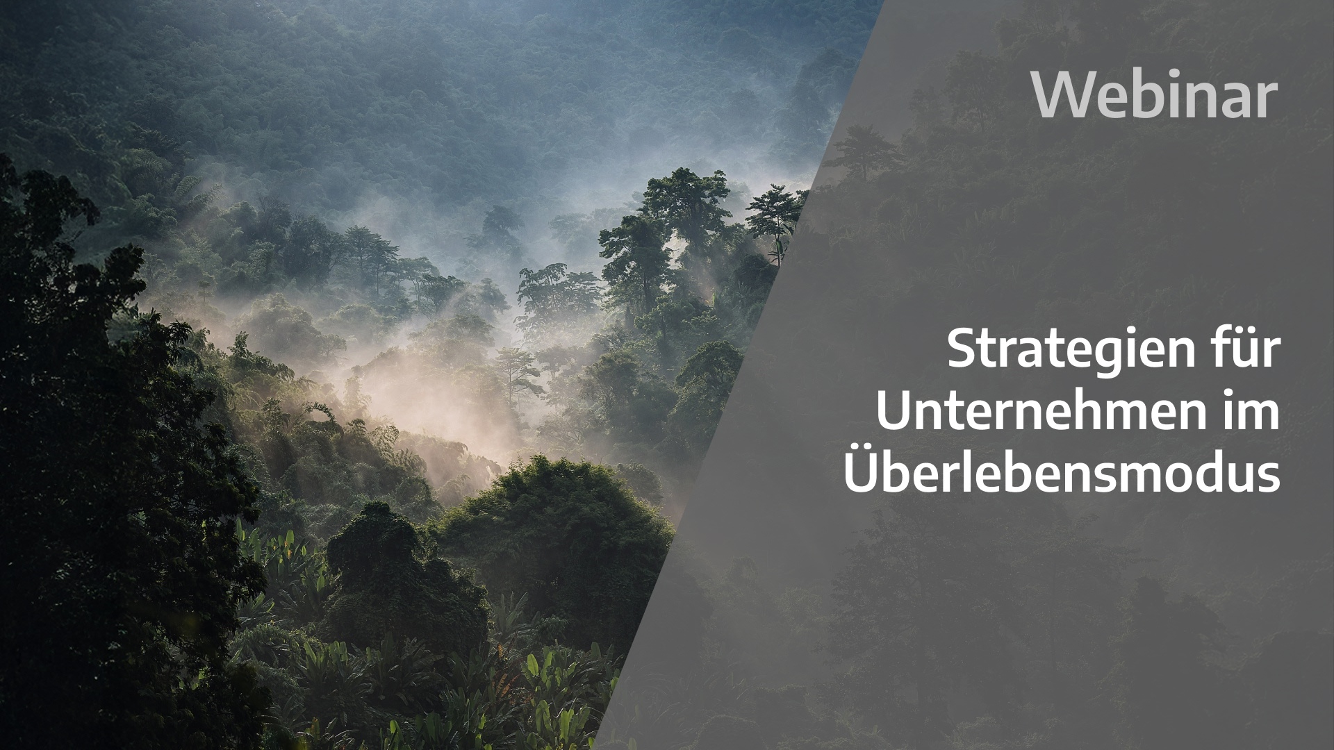 gi-kl-1567694419-pa-WB-Unternehmen-im-Ueberlebensmodus-1920x1080