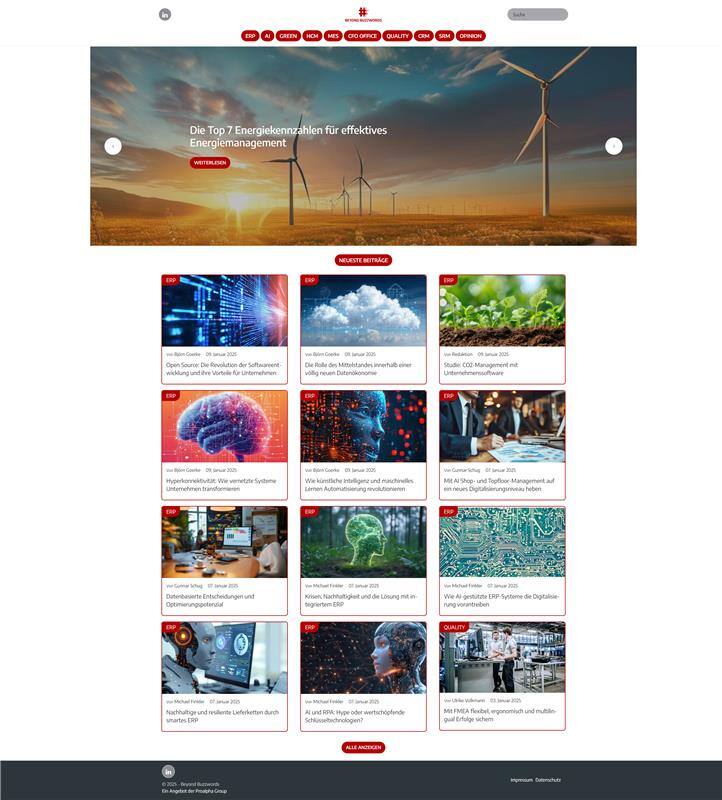 Das Bild zeigt die Startseite von #Beyond Buzzwords.